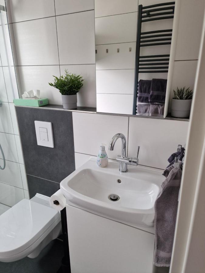 Ferienhaus Steigrhein Filsen Esterno foto